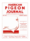 Magazine Cover